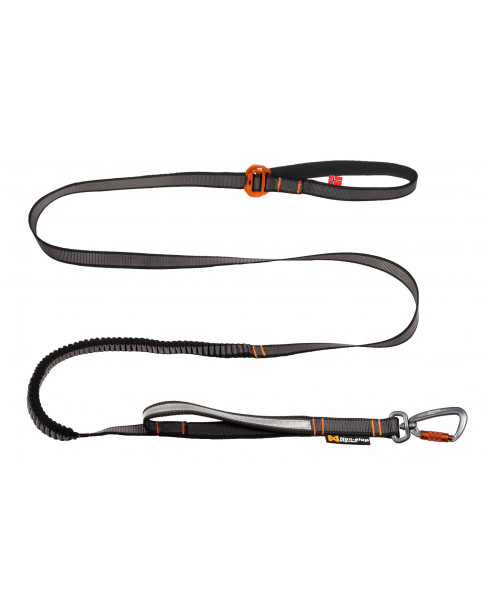 Non-stop Touring Bungee Leash