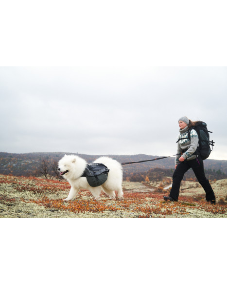 Non-stop Touring Bungee Leash