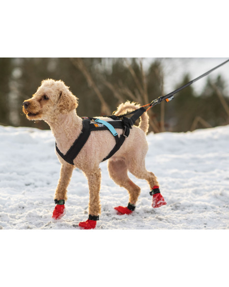 Non-stop Freemotion harness