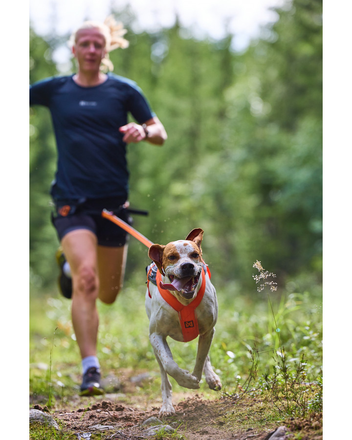 Non-stop Freemotion Harness 5.0