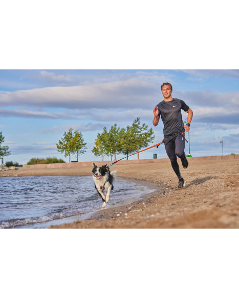 Non-stop Bungee Leash 2.0, black/orange