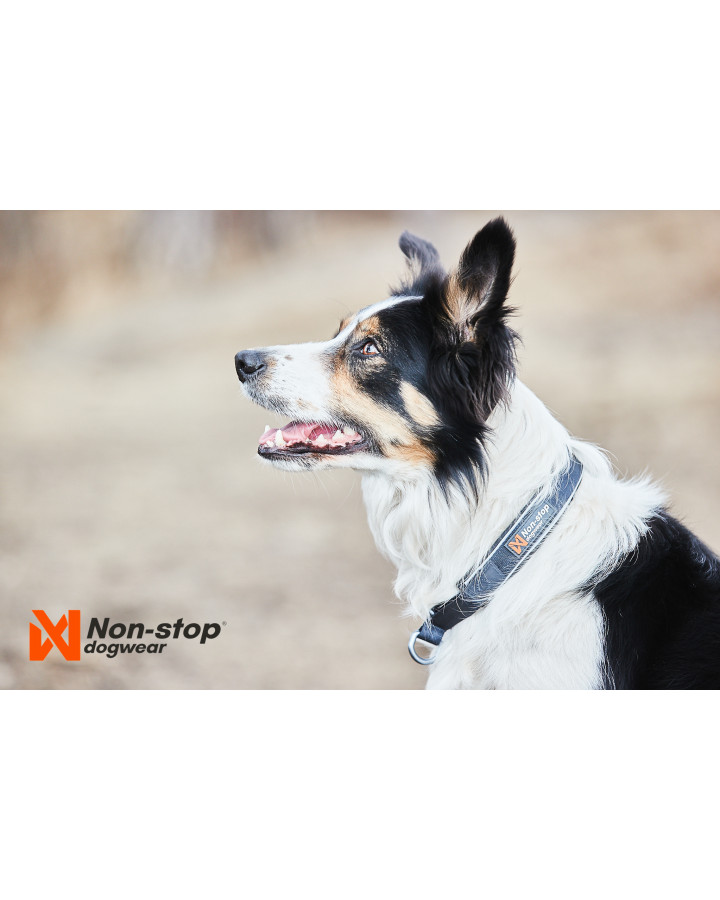 Non-stop Cruise Collar