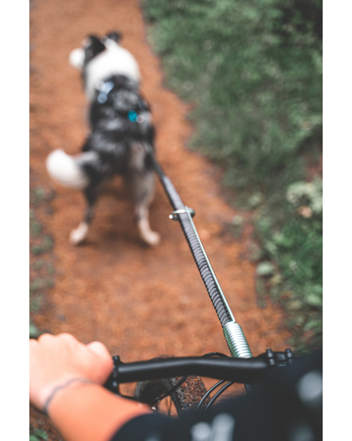 Non-stop Cykel fjäder