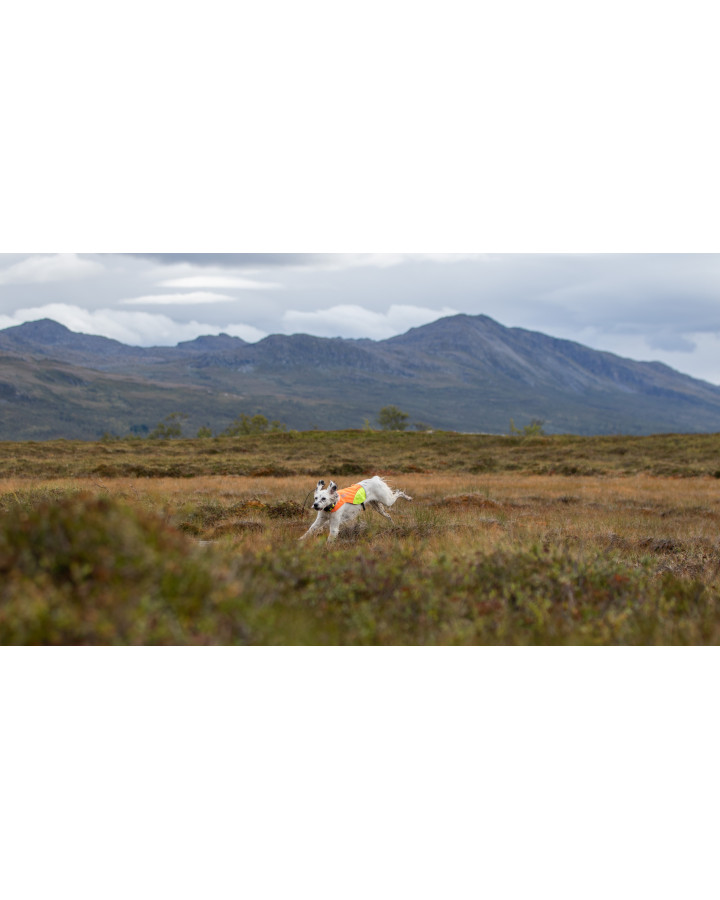 Non-stop dogwear Protector cover