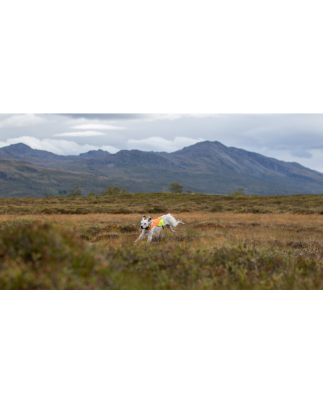 Non-stop dogwear Protector cover