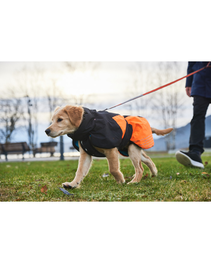 Non-stop Glacier Dog Jacket 2.0