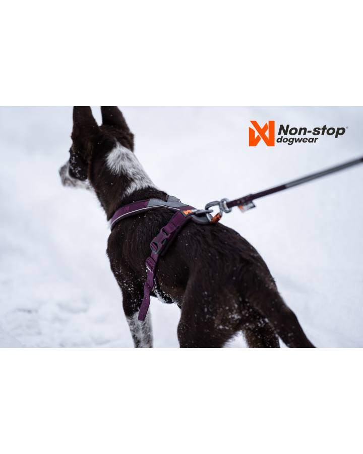 Non-stop Line Harness 5.0